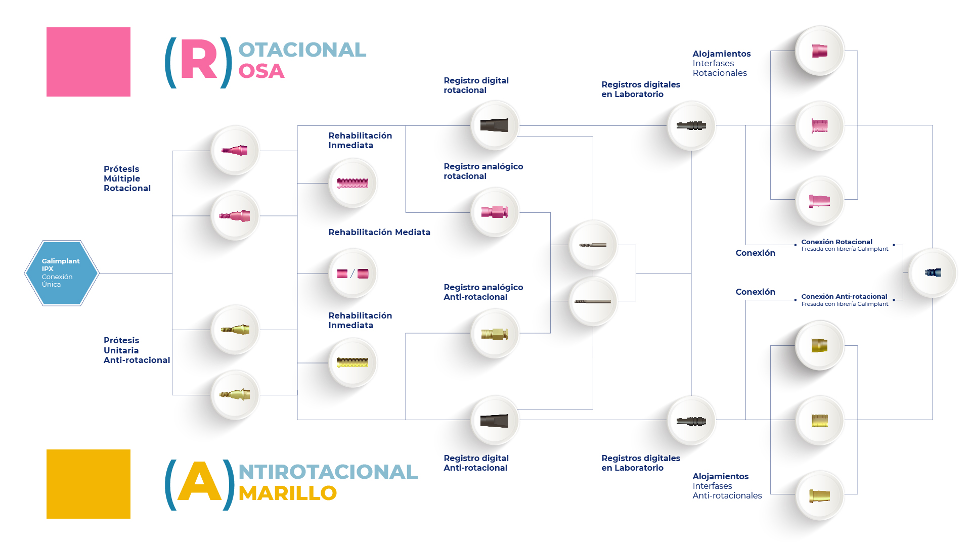 Esquema transepitelial