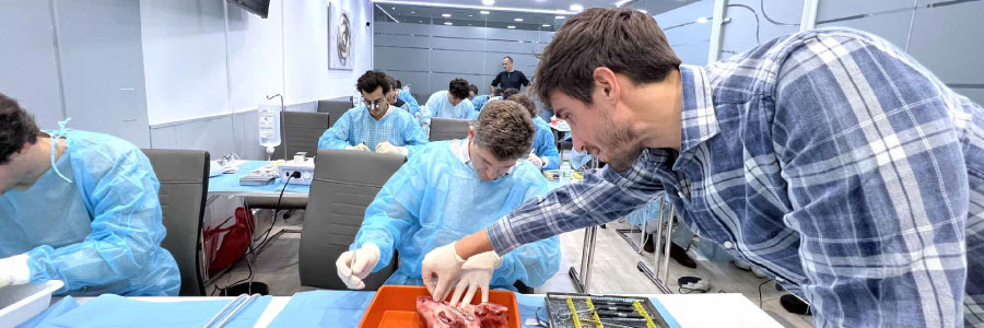 curso-regeneracion