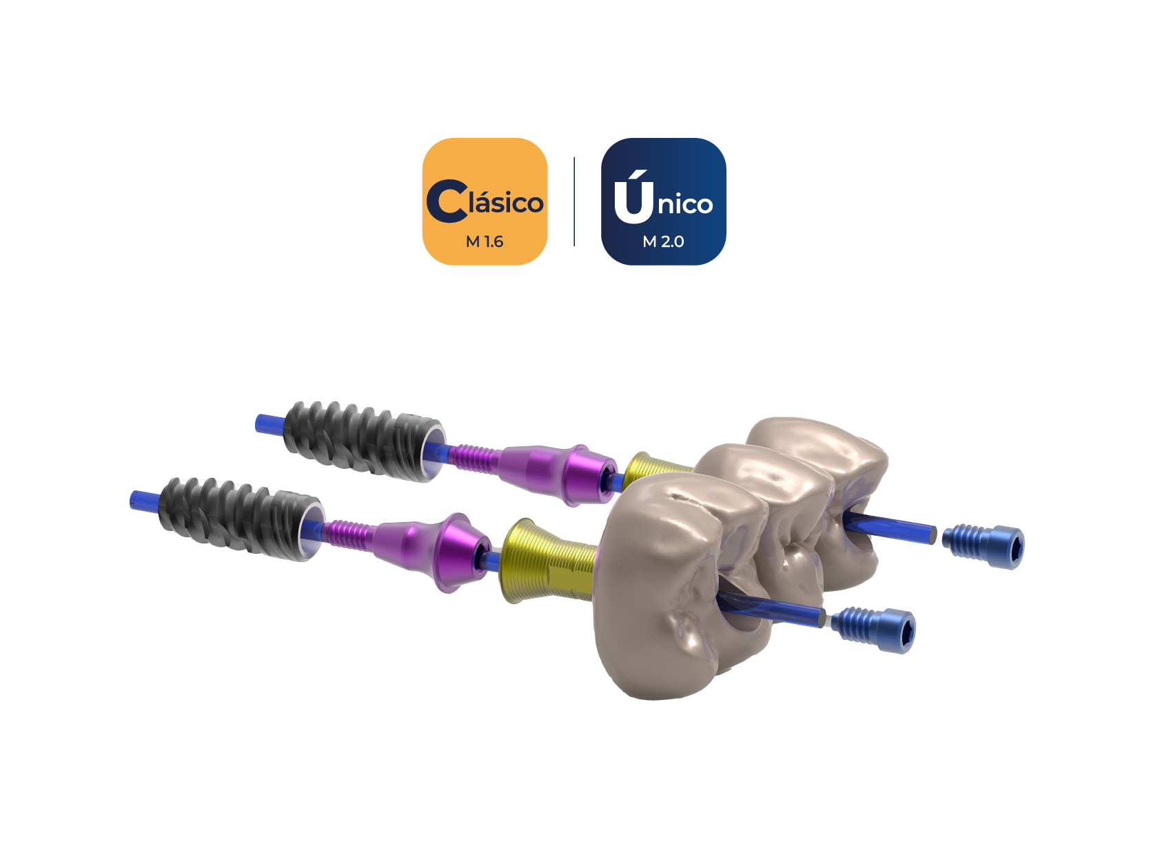 galimplant fusion max